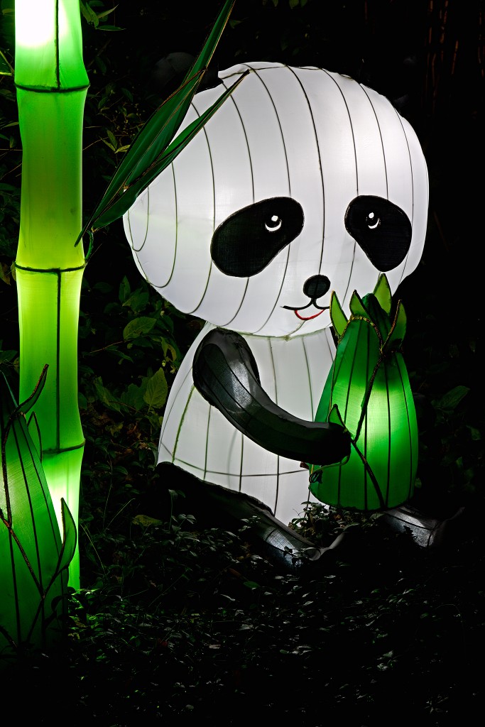 china light licht festival lichtshow show festiviteit glow evenement event chinees chinese verlichting draak dragon lichtfestival zoo